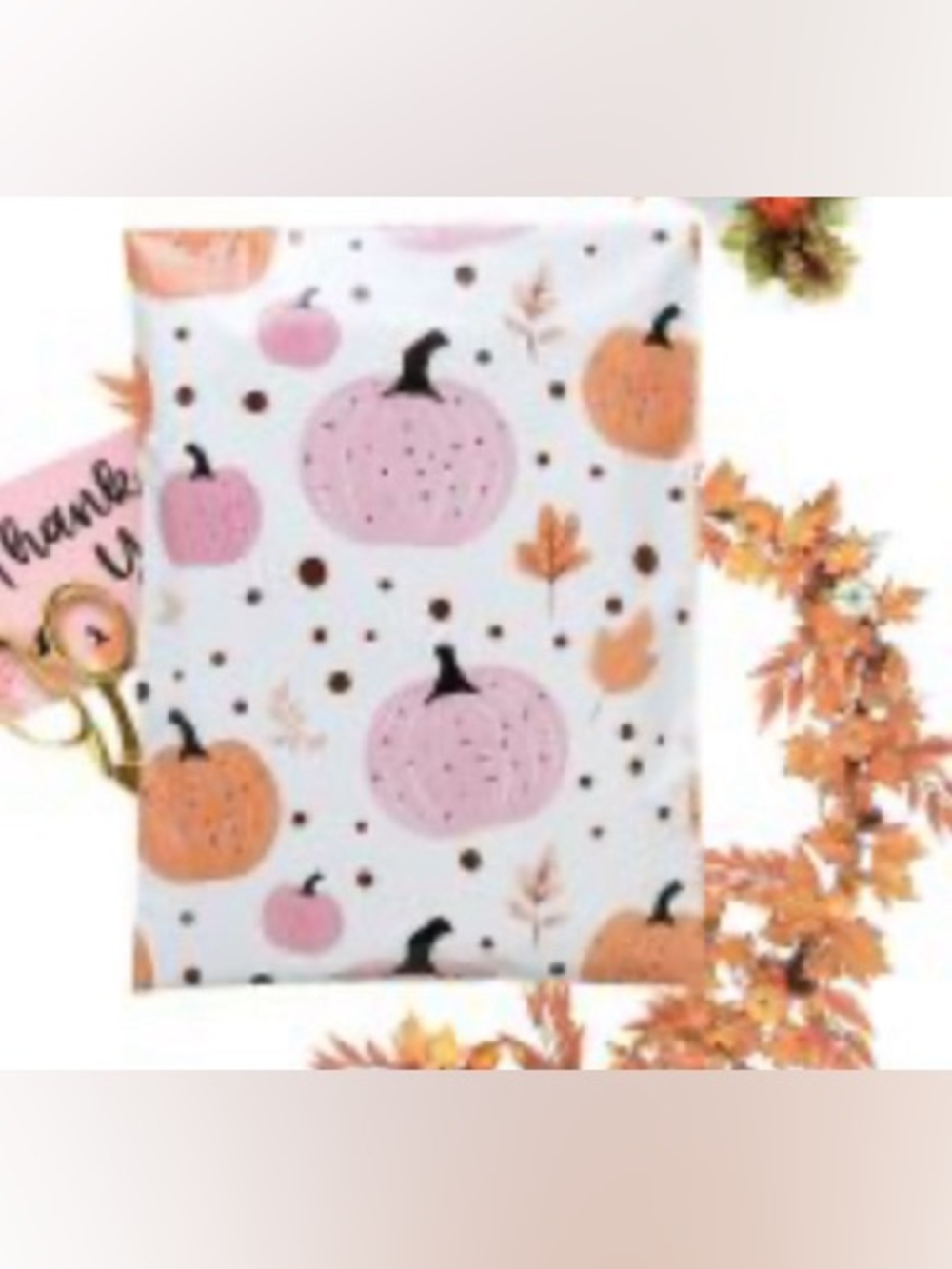 Autumn Pumpkin Printed Polymailers- (20)